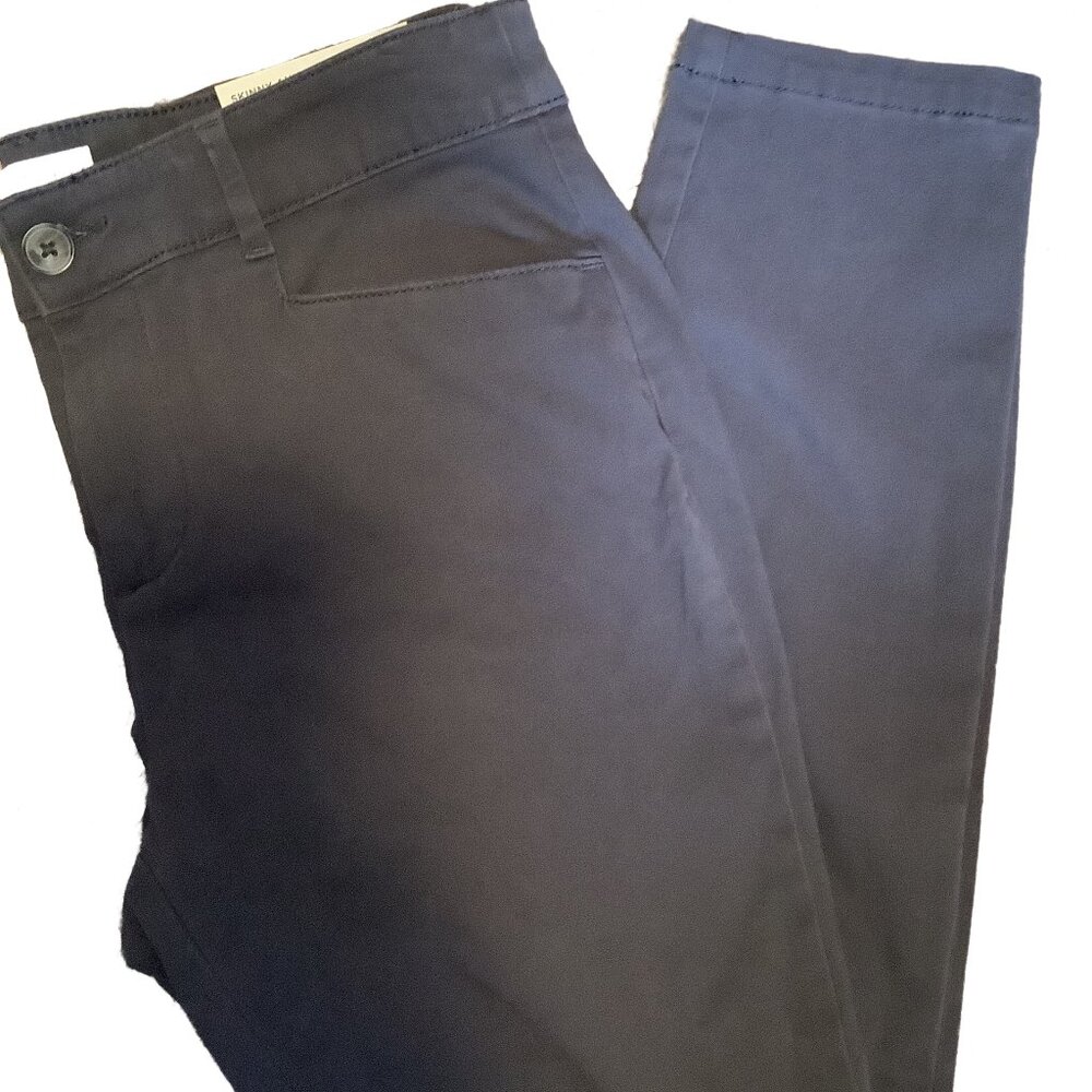 NWT Loft Outlet Skinny Pants Size: 10P